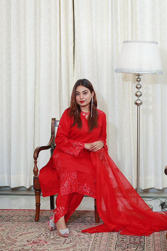 Crimson Elegance Shalwar Kameez Set